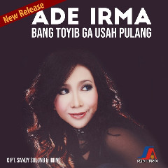 Download Lagu Ade Irma - Bang Toyib Ga Usah Pulang Mp3